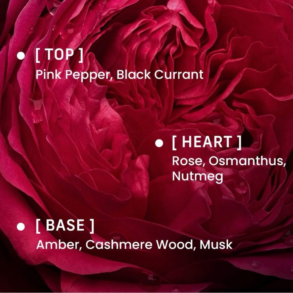 Phlur Rose Whip Eau de Parfum - Black - Picture 7 of 7